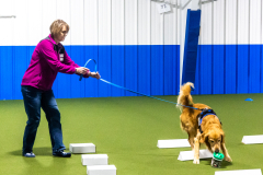 10-22-23-ScentWork-1294