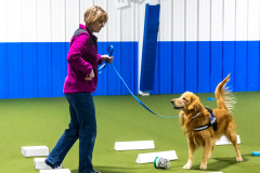 10-22-23-ScentWork-1295