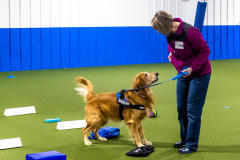 10-22-23-ScentWork-1299