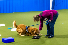 10-22-23-ScentWork-1300