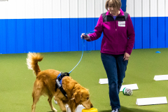 10-22-23-ScentWork-1303