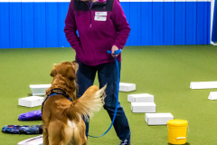 10-22-23-ScentWork-1304