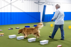 10-22-23-ScentWork-1316