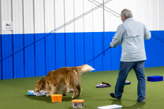 10-22-23-ScentWork-1317