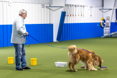 10-22-23-ScentWork-1319