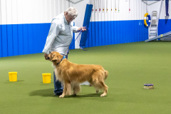 10-22-23-ScentWork-1321