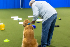 10-22-23-ScentWork-1332