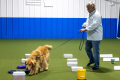 10-22-23-ScentWork-1334