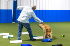 10-22-23-ScentWork-1338