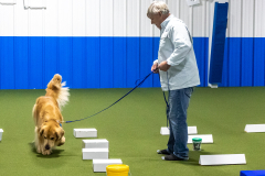 10-22-23-ScentWork-1342