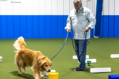 10-22-23-ScentWork-1343