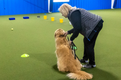 10-22-23-ScentWork-1350