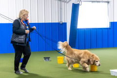 10-22-23-ScentWork-1353