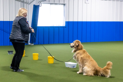 10-22-23-ScentWork-1354