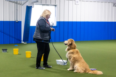10-22-23-ScentWork-1355
