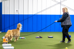 10-22-23-ScentWork-1357