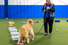 10-22-23-ScentWork-1359