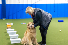 10-22-23-ScentWork-1362
