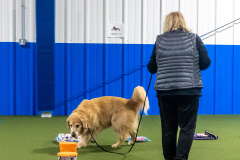 10-22-23-ScentWork-1363