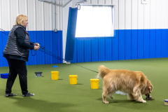 10-22-23-ScentWork-1365