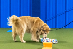 10-22-23-ScentWork-1370