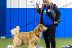 10-22-23-ScentWork-1372
