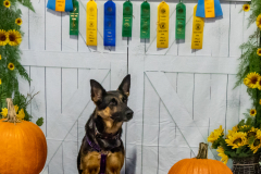 10-22-23-ScentWork-1402