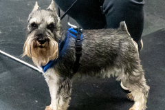 10-22-23-ScentWork-1420