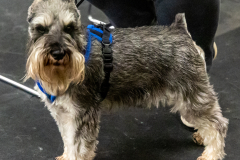10-22-23-ScentWork-1422