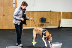 10-22-23-ScentWork-1426