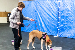 10-22-23-ScentWork-1427