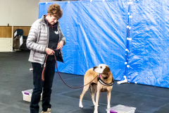 10-22-23-ScentWork-1428