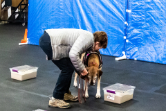 10-22-23-ScentWork-1429