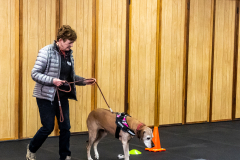 10-22-23-ScentWork-1432