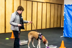 10-22-23-ScentWork-1433