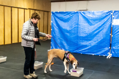 10-22-23-ScentWork-1434