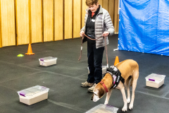 10-22-23-ScentWork-1435