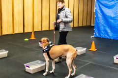 10-22-23-ScentWork-1437
