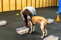 10-22-23-ScentWork-1438