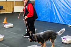 10-22-23-ScentWork-1443