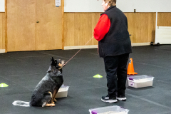 10-22-23-ScentWork-1445