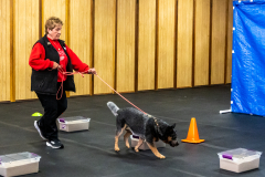 10-22-23-ScentWork-1447