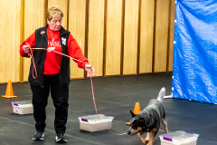 10-22-23-ScentWork-1448