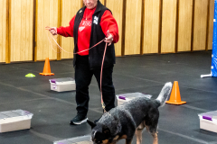 10-22-23-ScentWork-1449