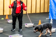 10-22-23-ScentWork-1450