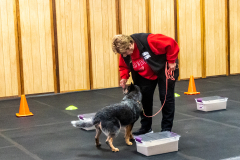 10-22-23-ScentWork-1453