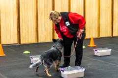10-22-23-ScentWork-1454