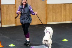 10-22-23-ScentWork-1458