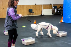 10-22-23-ScentWork-1459
