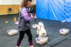 10-22-23-ScentWork-1460